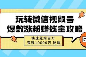 玩轉微信視頻號爆款漲粉賺錢全攻略，快速漲粉百萬變現萬元秘訣