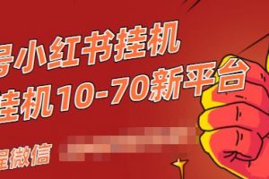 視頻號小紅書抖音掛機項目，小白無腦操作，按照要求來，單號每天幾十米