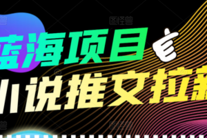 【高端精品】外面收費6880的小說推文拉新項目，個人工作室可批量做