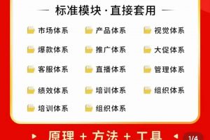 外面賣198·電商企業(yè)經(jīng)營管理工具：全套執(zhí)行落地方案 標(biāo)準(zhǔn)模塊·直接套用