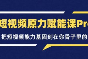 短視頻原力賦能課Pro，把短視頻能力基因刻在你骨子里的課（價(jià)值4999元）