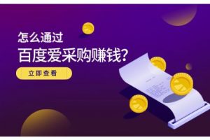 大王·怎么通過百度愛采購賺錢，已經(jīng)通過百度愛采購?fù)瓿?00多萬的銷量