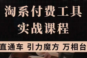 淘系付費工具實戰課程【直通車、引力魔方】戰略優化，實操演練（價值1299）