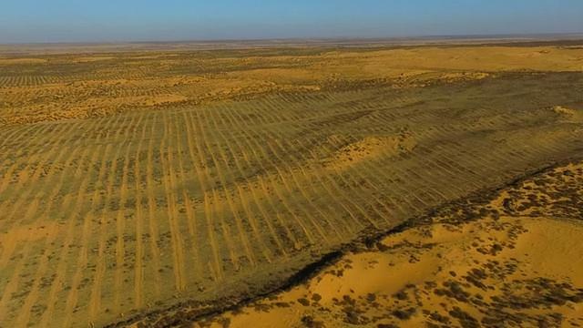 螞蟻森林暴露消費記錄通過螞蟻森林看消費記錄插圖4