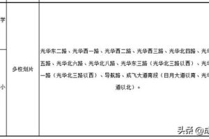 成都高新區小學排名成都高新區小學排名一覽表查詢