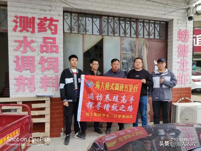 —個10畝魚塘養魚利潤10畝池塘養魚利潤插圖3