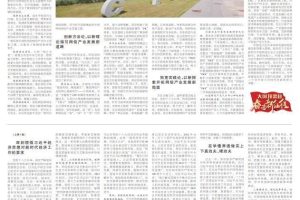 芮曉武芮曉武_級別