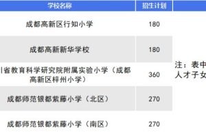 成都高新區小學排名前十名成都高新區小學排名前十名有哪些初中