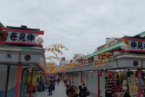 淺草淺草才能沒馬蹄亂花漸欲迷人眼是什么意思