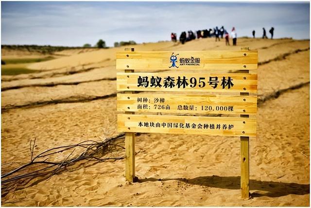 螞蟻森林暴露消費記錄通過螞蟻森林看消費記錄插圖