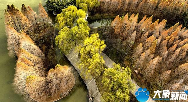 洛陽旅游洛陽旅游攻略自由行攻略插圖3