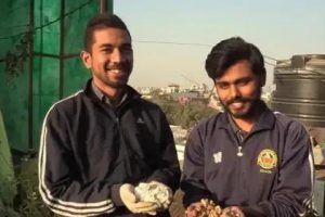 煙頭回收煙頭回收多少錢(qián)一斤是抽過(guò)的煙頭嗎