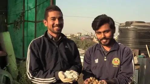 煙頭回收煙頭回收多少錢一斤是抽過的煙頭嗎插圖4