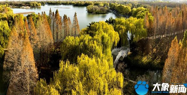 洛陽旅游洛陽旅游攻略自由行攻略插圖2