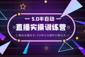 螞蟻·5.0半自動直播2345打法，半自動爆流直播技術(shù) 5分鐘卡點循環(huán)引爆話術(shù)
