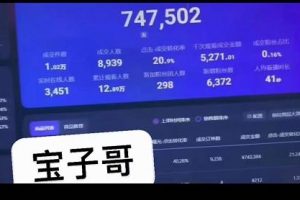 寶子哥無人直播，半無人直播，Obs 伴侶玩法，快速打標簽 養(yǎng)魚