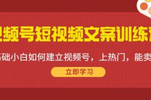 視頻號短視頻文案訓練營：0基礎小白如何建立視頻號，上熱門，能賣貨！