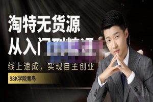 98k學(xué)院的淘特無貨源線上速成課，從入門到精通，讓你最小投入，最高回報