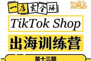 TikTokShop出海訓練營（第十三期），打開全球流量新思維，出海搶占全球新流量，一店賣全球