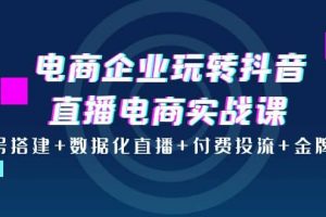 電商企業玩轉抖音直播電商實戰課：賬號搭建 數據化直播 付費投流 金牌主播