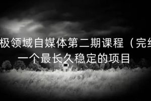 無極領域自媒體第二期課程（完結），一個最長久穩定的項目