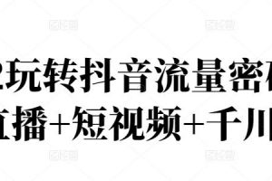 2022玩轉(zhuǎn)抖音流量密碼，(直播 短視頻 千川)