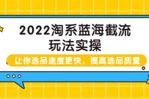 2022淘系藍(lán)海截流玩法實(shí)操：讓你選品速度更快，提高選品質(zhì)量（價(jià)值599）