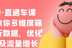 盜坤·直通車課程，教你多維度篩選分析數據，優化店鋪及流量增長
