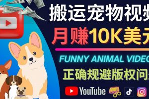 搬運TIKTOK視頻到YouTube，并進行二次創作，月賺1萬美元以上