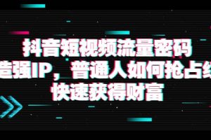 抖音短視頻流量密碼：打造強IP，普通人如何搶占紅利，快速獲得財富