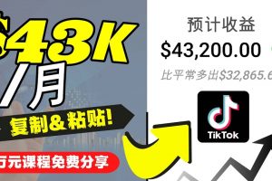 2022抖音國際版Tiktok賺錢項目：每天上傳一個視頻就輕松月入$43200美元