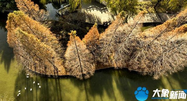 洛陽旅游洛陽旅游攻略自由行攻略插圖4