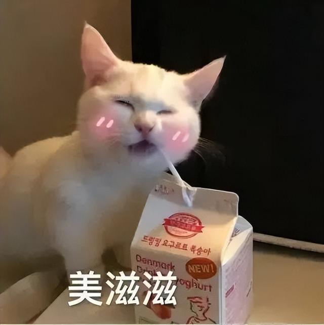 不正規(guī)的賺錢路子網(wǎng)上搞錢路子插圖2