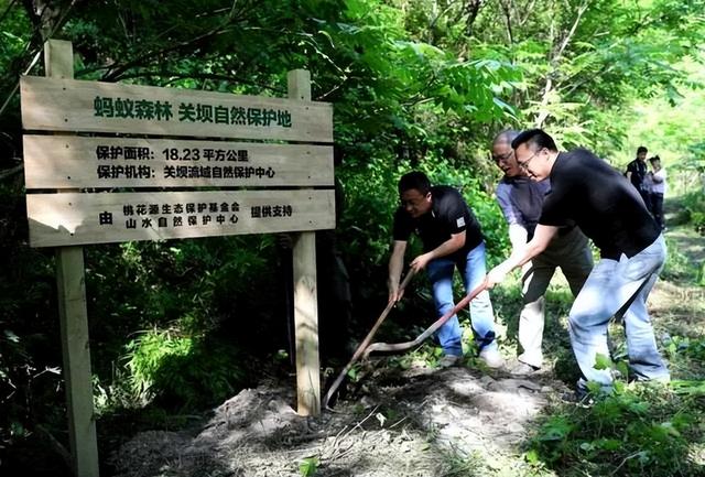 螞蟻森林暴露消費記錄通過螞蟻森林看消費記錄插圖1