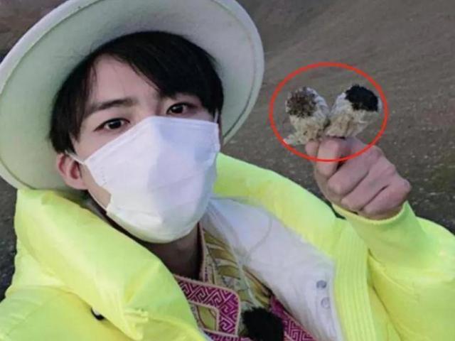 吃播博主吃播博主排行插圖2