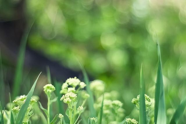 最聰明的存錢法12個月最聰明的存錢法是存折還是卡插圖