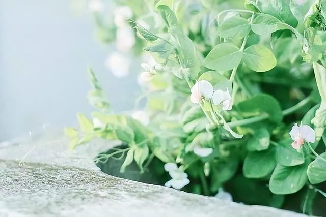 最聰明的存錢法12個月最聰明的存錢法是存折還是卡插圖2