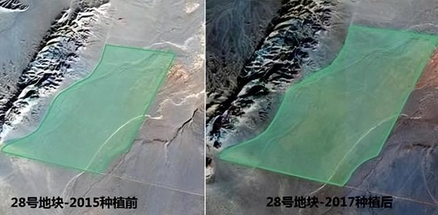 螞蟻森林暴露消費記錄通過螞蟻森林看消費記錄插圖3