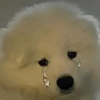 馬化騰的女兒馬化騰的女兒又爆出近照插圖1