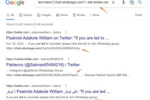 怎么看推特怎么看推特上的內(nèi)容視頻