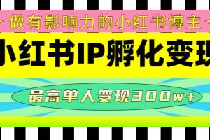 某收費培訓-小紅書IP孵化變現：做有影響力的小紅書博主