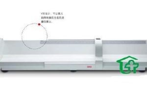 正常腰圍標準對照表女正常腰圍標準對照表男