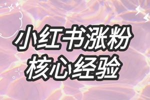 小紅書買500個粉絲小紅書買500個粉絲