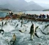 低調賺大錢的灰色行業文華財經期貨app下載官網插圖6