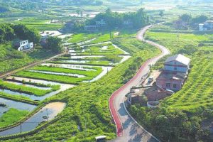 鄉鎮空缺生意鄉下有什么可以代加工的