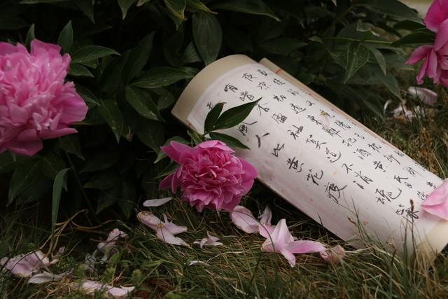 用古文暗示我等你白茶清歡無別事,我在等風(fēng)也等你插圖6