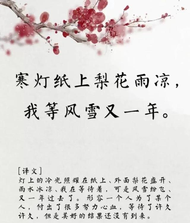 用古文暗示我等你白茶清歡無別事,我在等風也等你全詩插圖5