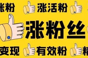 抖音漲粉絲1元1000個活粉抖音粉絲業(yè)務(wù)下單