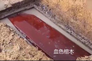 三星堆女尸有復原圖三星堆挖出不該出現的物品