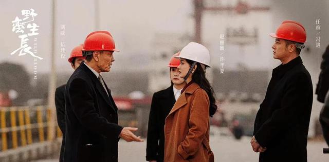 蔣佳恩到底出了什么事蔣佳恩到底發生了什么事插圖1